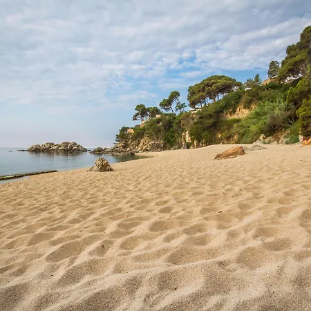 Htop Platja Park #htopfun Отель 4*