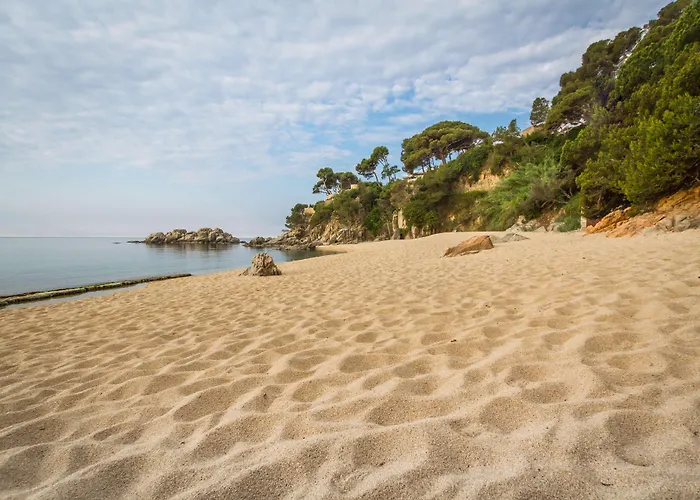 Htop Platja Park #htopfun ホテル 4*